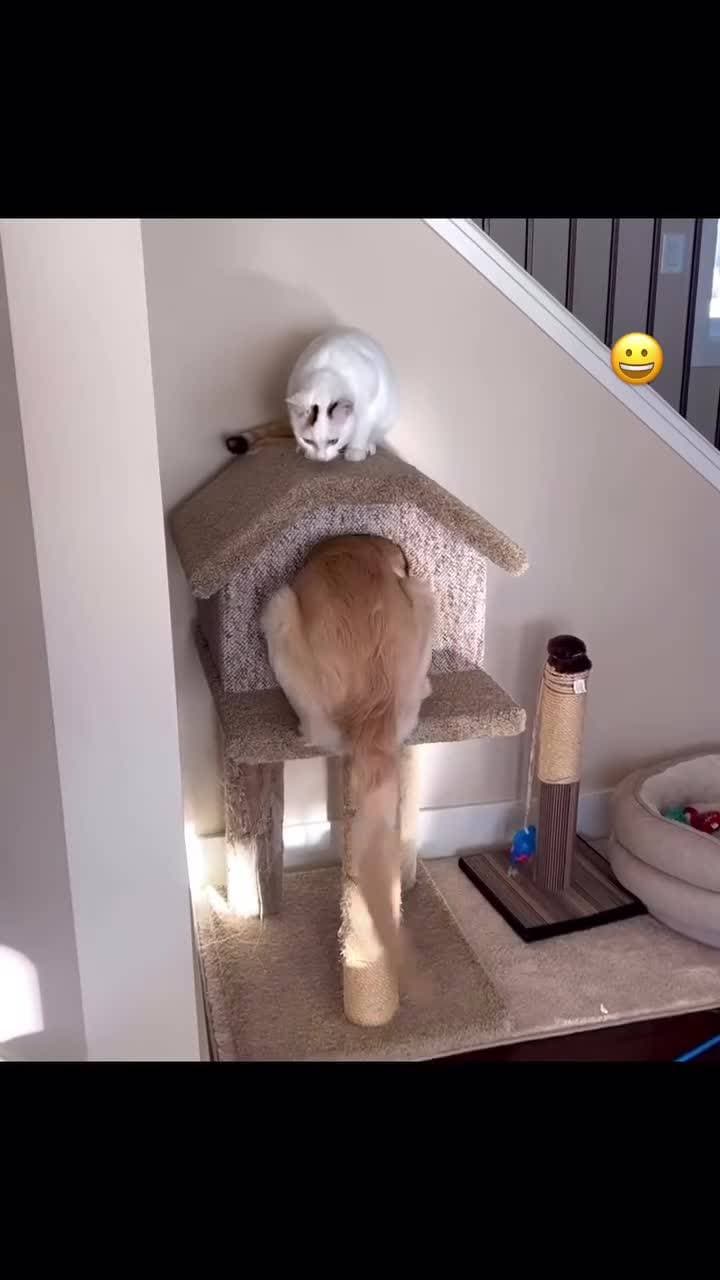 😅♥️