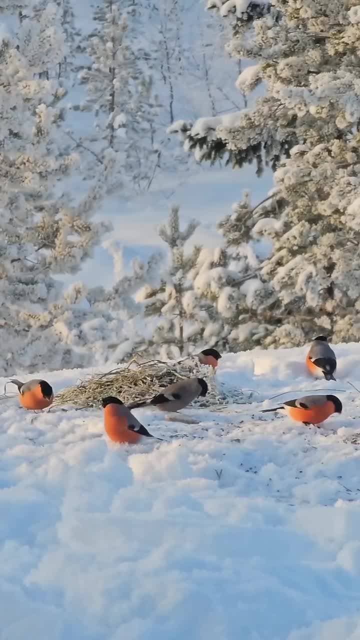 ♥️