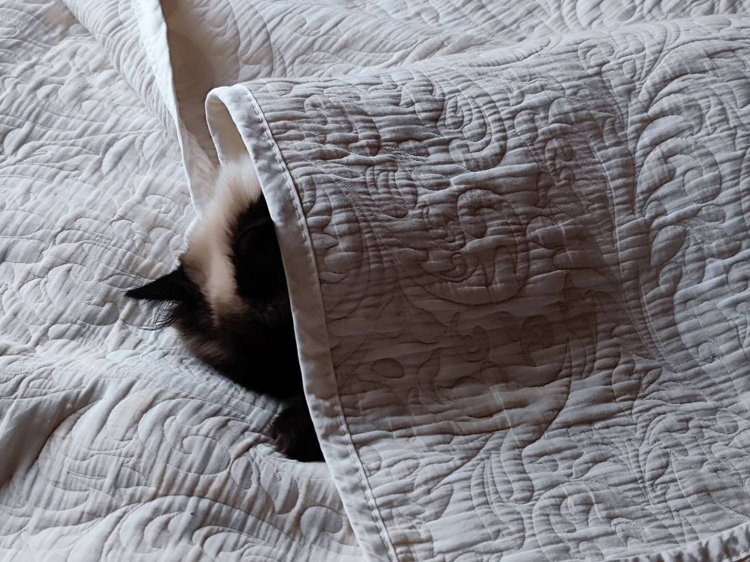 коротко о погоде ....