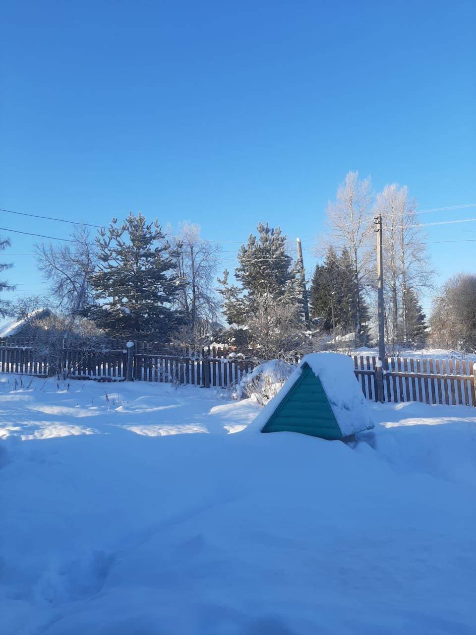 Мороз -30 #зимавдеревне❄️☃️