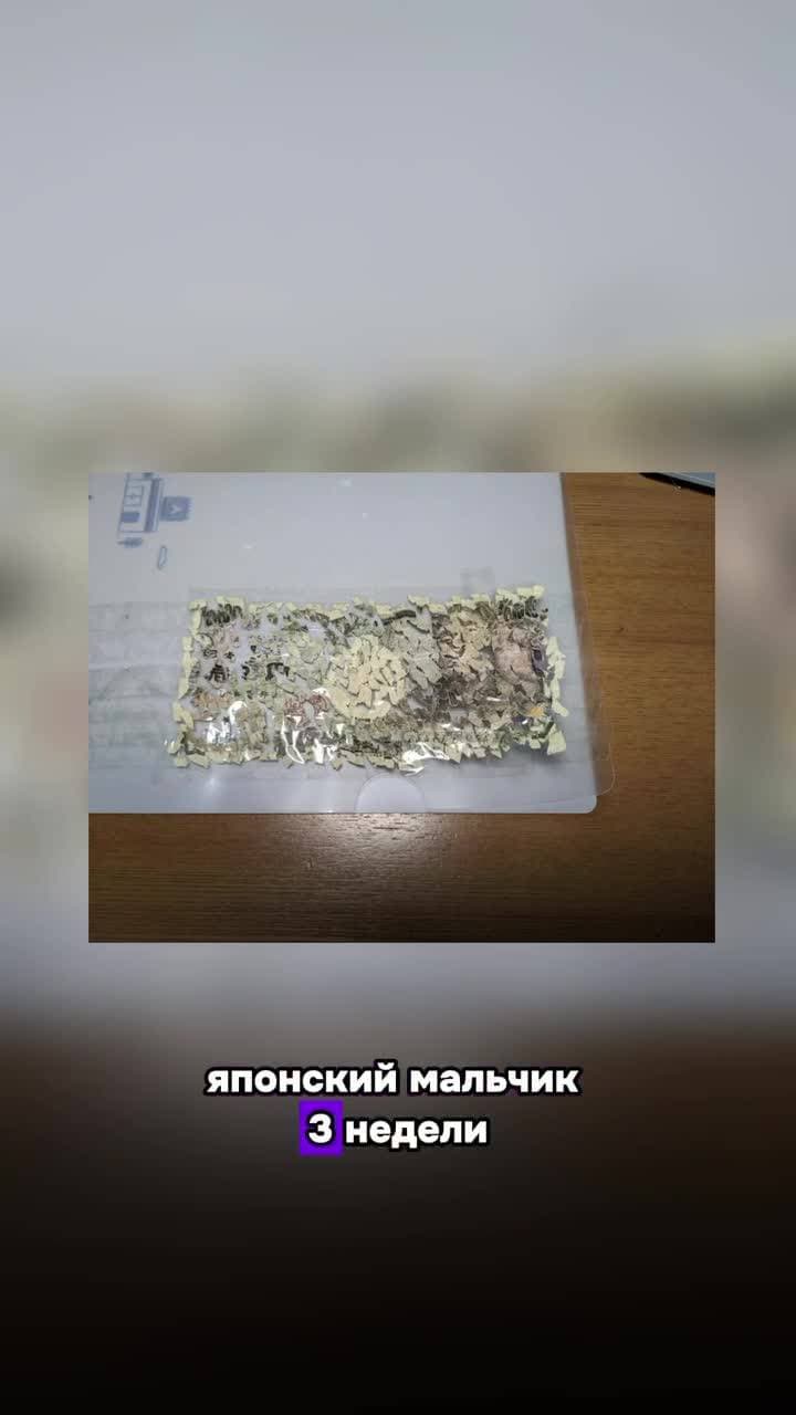 Японский мальчик три недели собирал купюру в 10 тыс. иен, измельченную в шредере