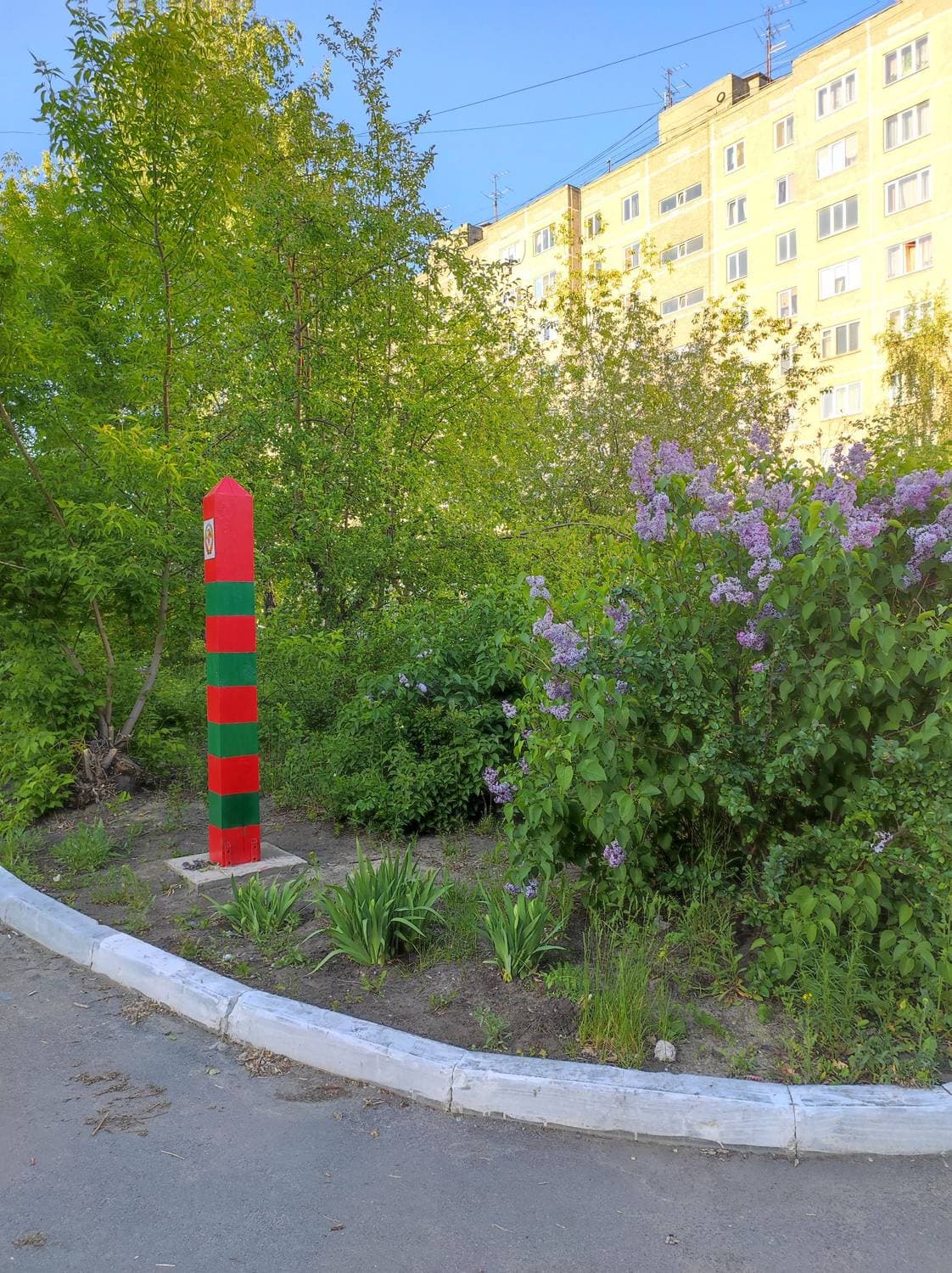 Доброе утро