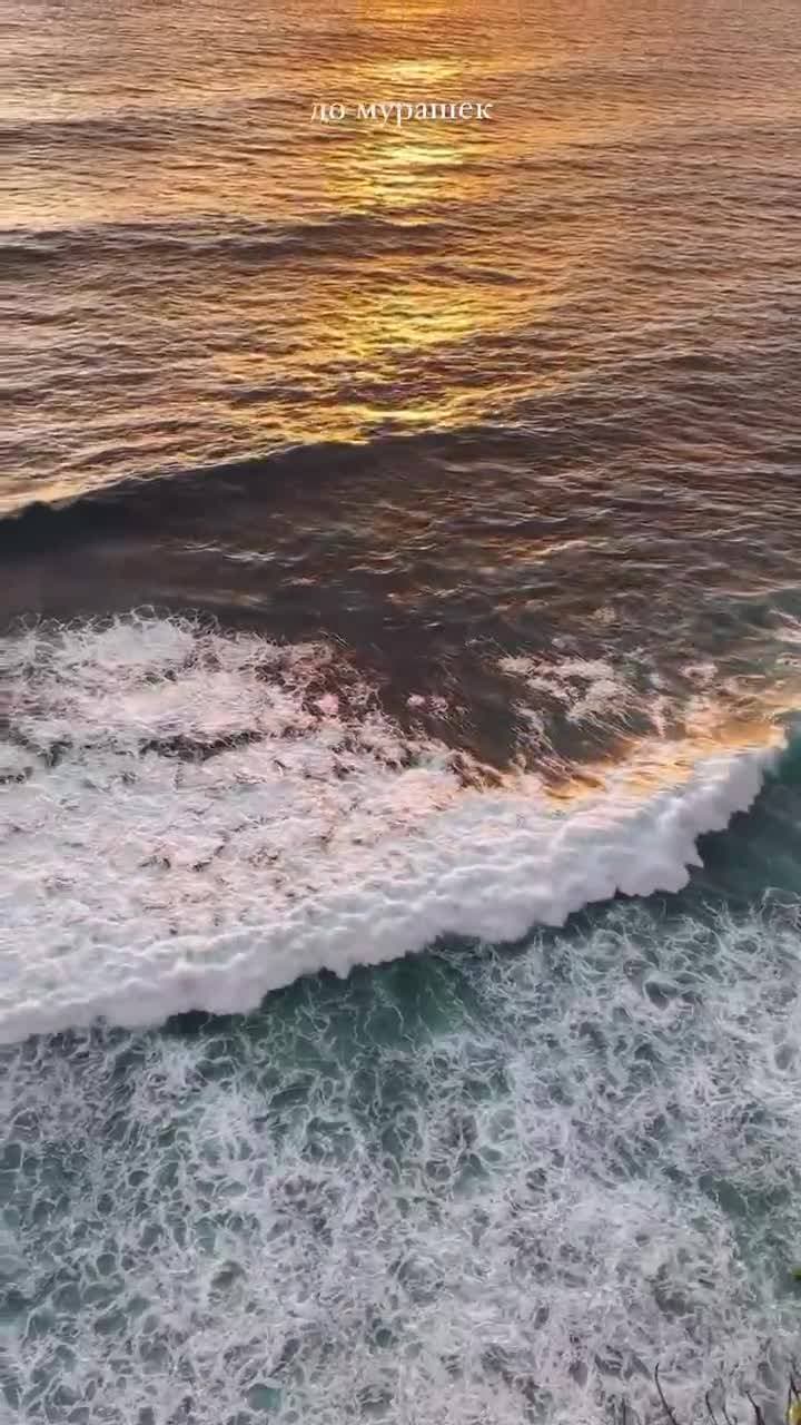 🇮🇩