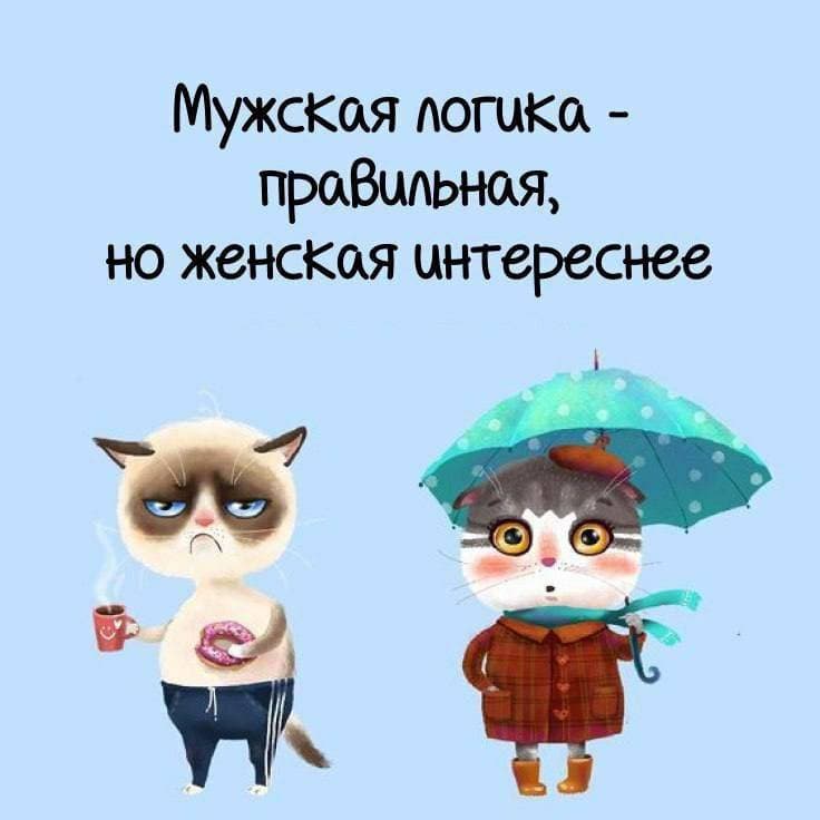 😂😂😂