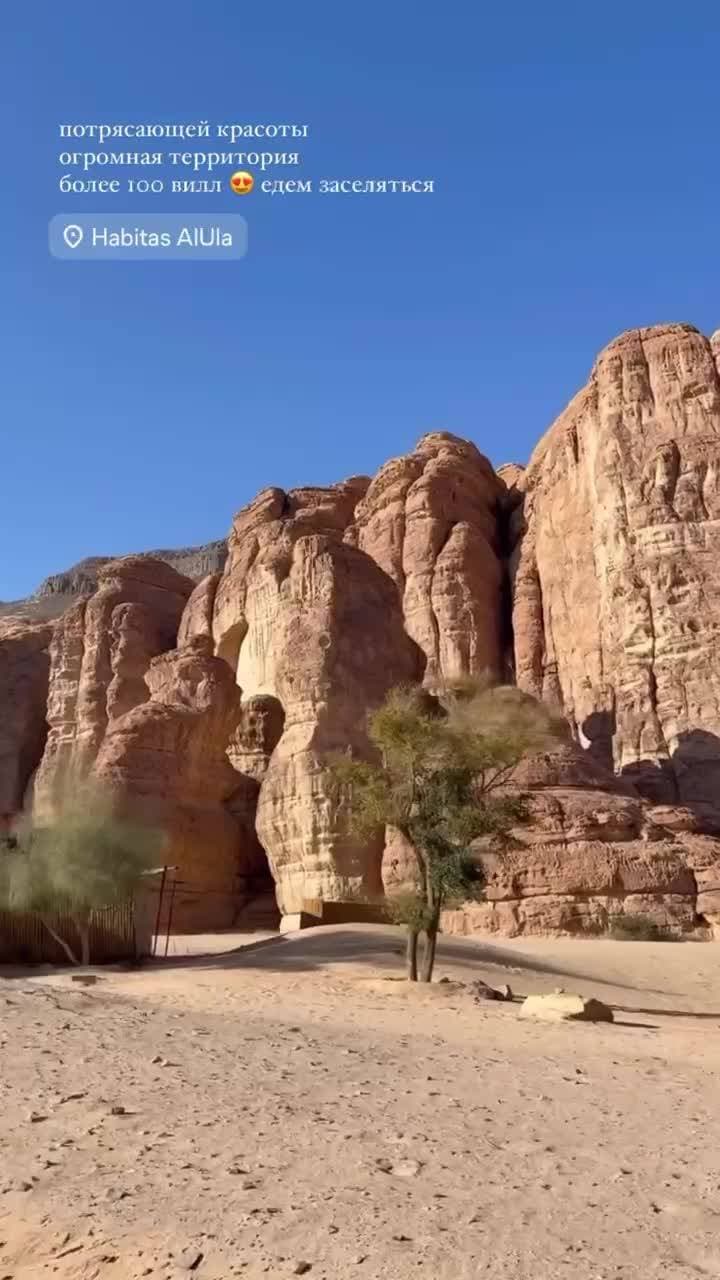 🇸🇦