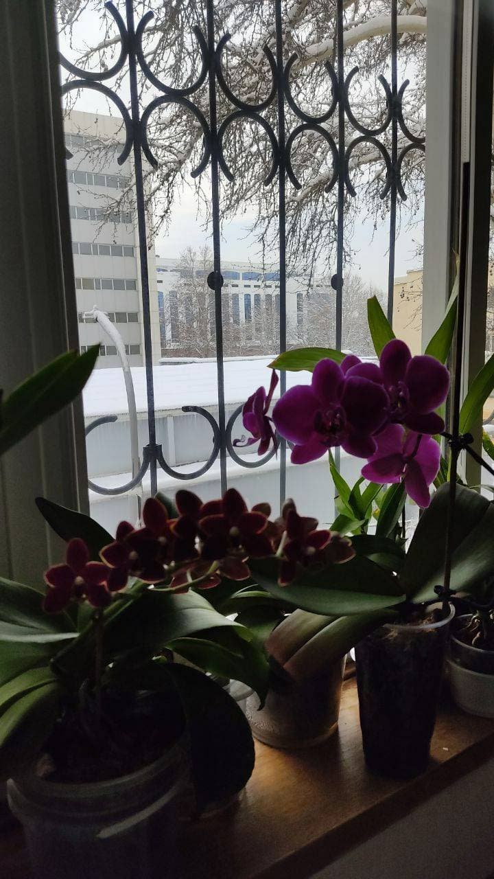 💐💐