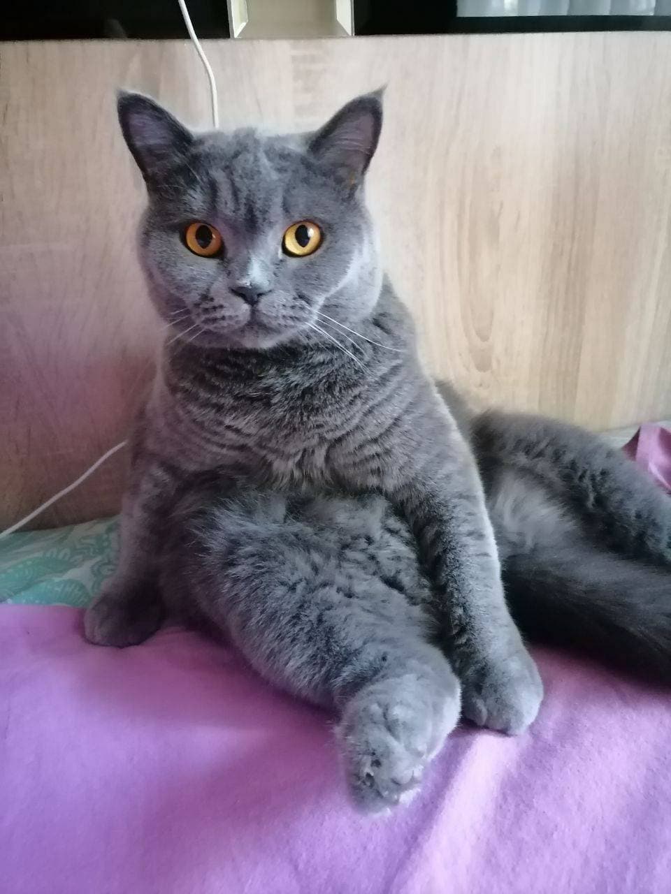 ❤️