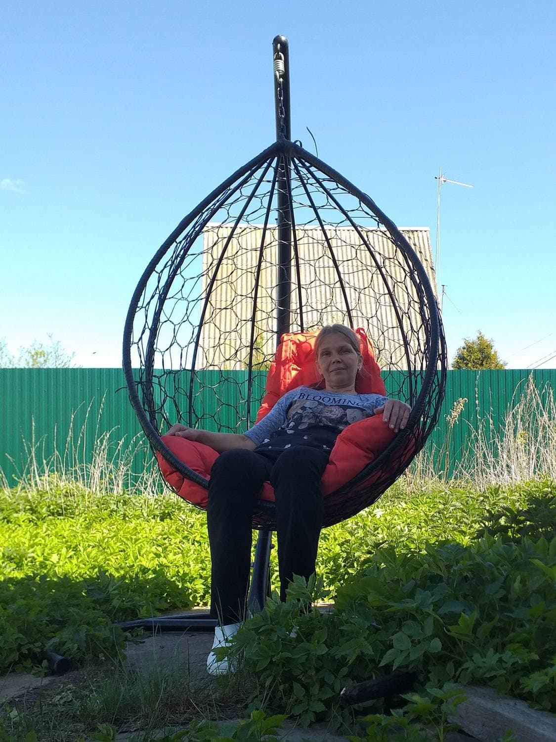 ДАЧУЛИН ВИРДИКТ: подлежит сезонному восстановлению👩‍🎓🥰🏡🦠🐛2️⃣0️⃣2️⃣4️⃣!