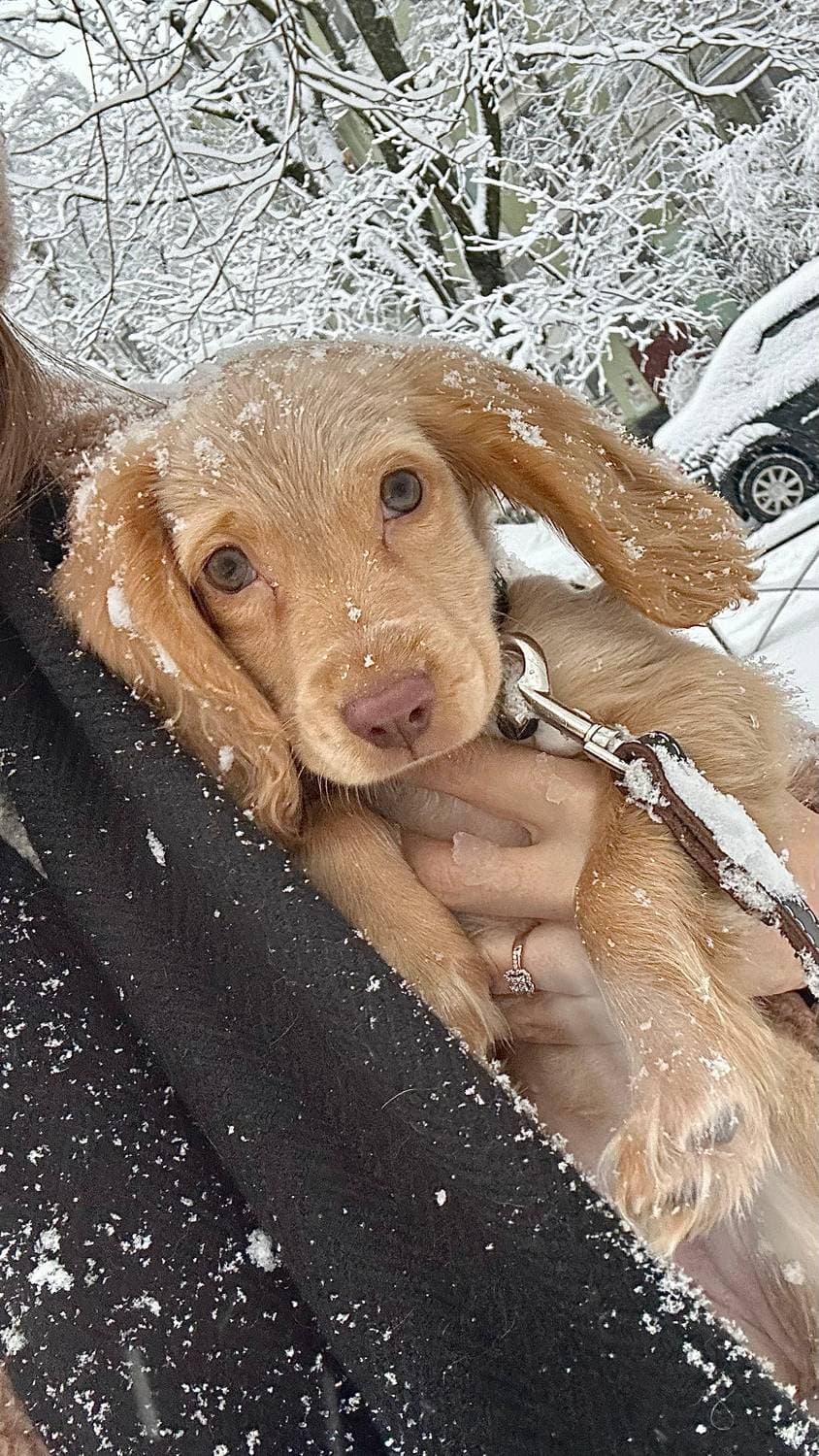 Первый снег❄️
