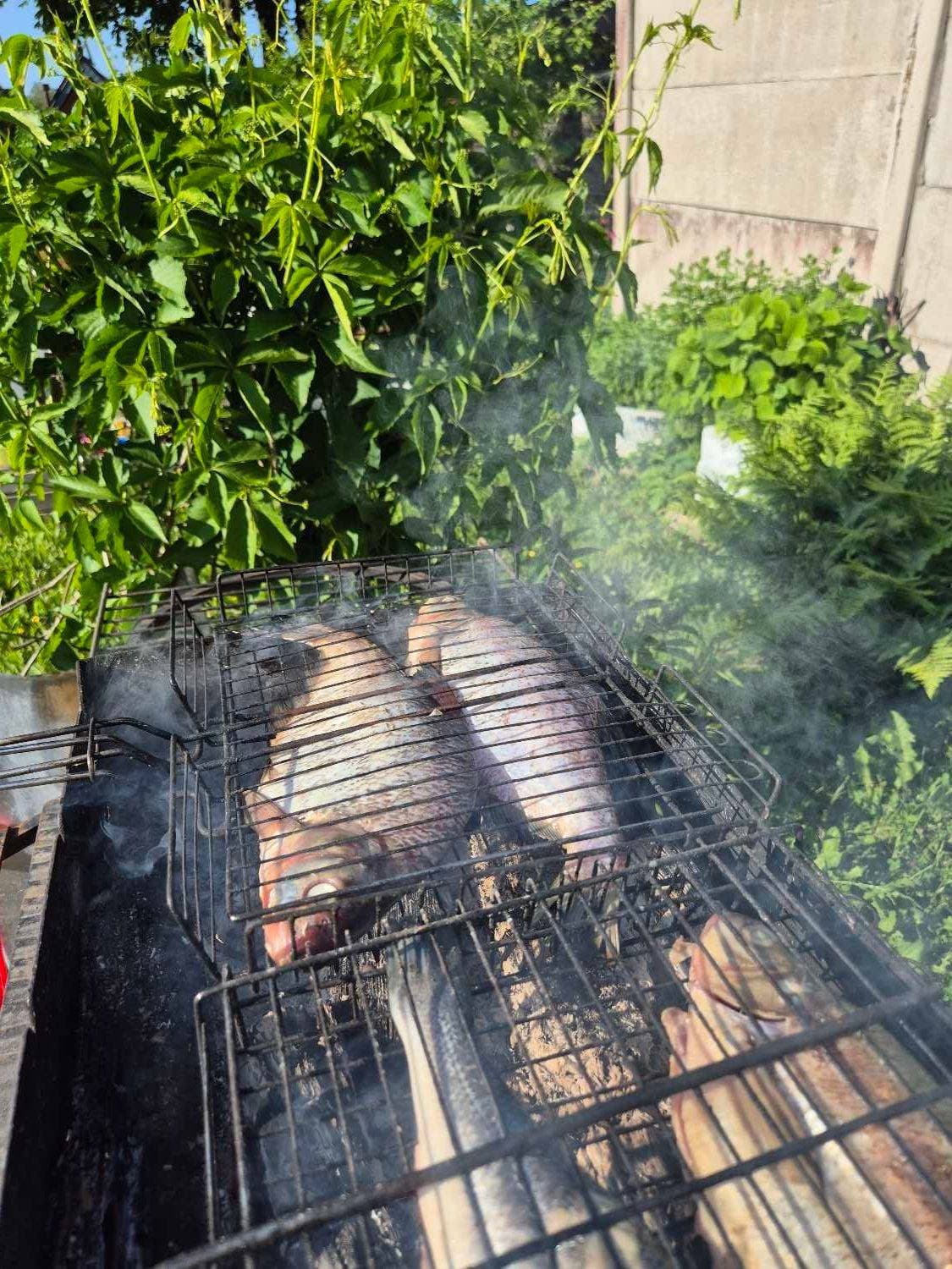 У дачная жизнь) 🐟