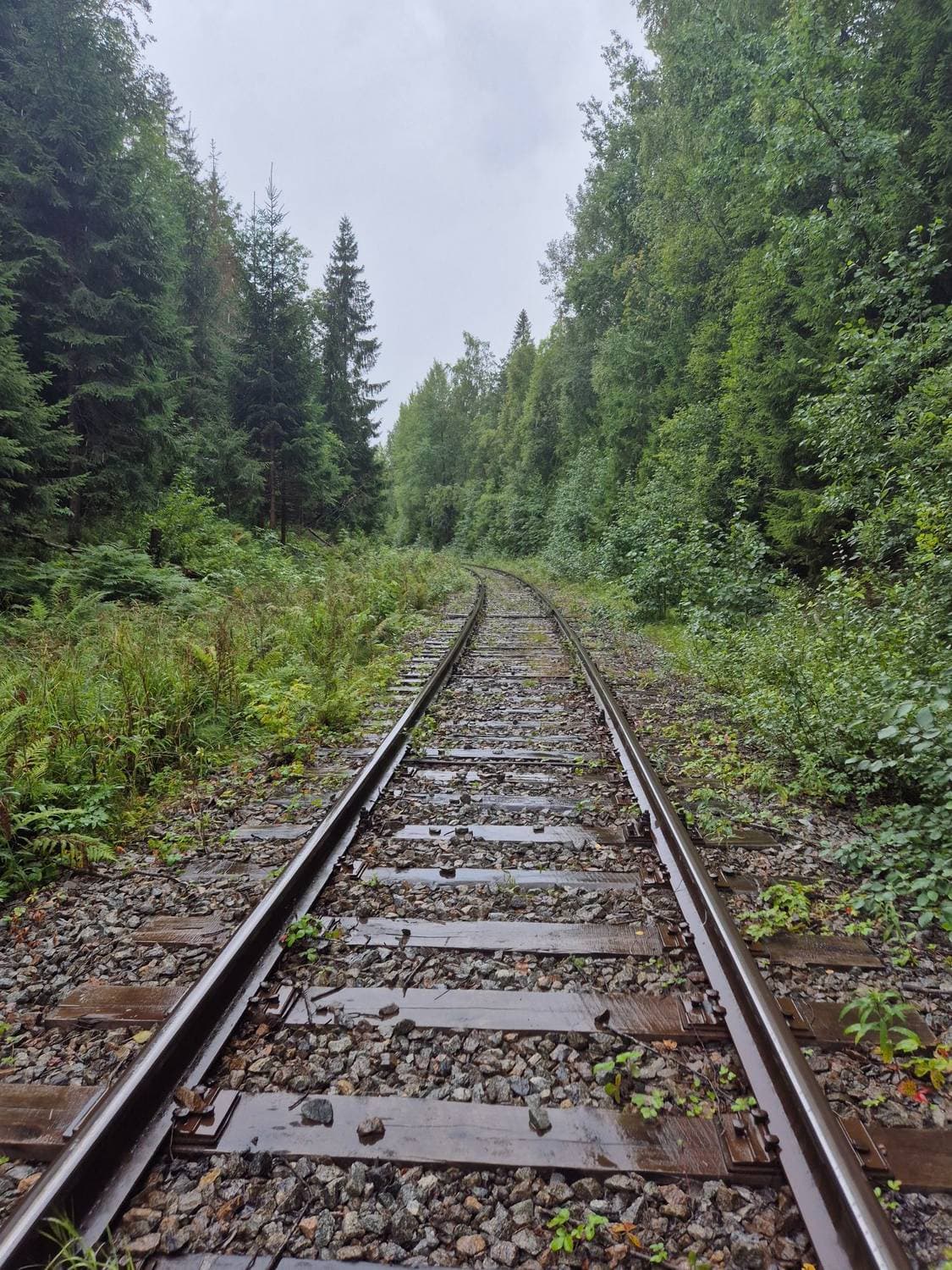 Лето🌿