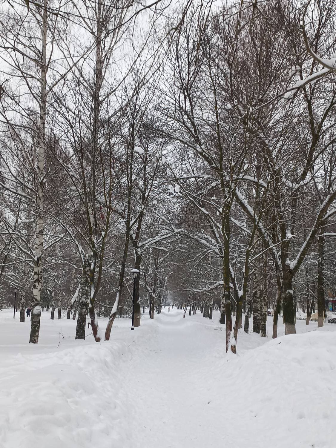 прогулка