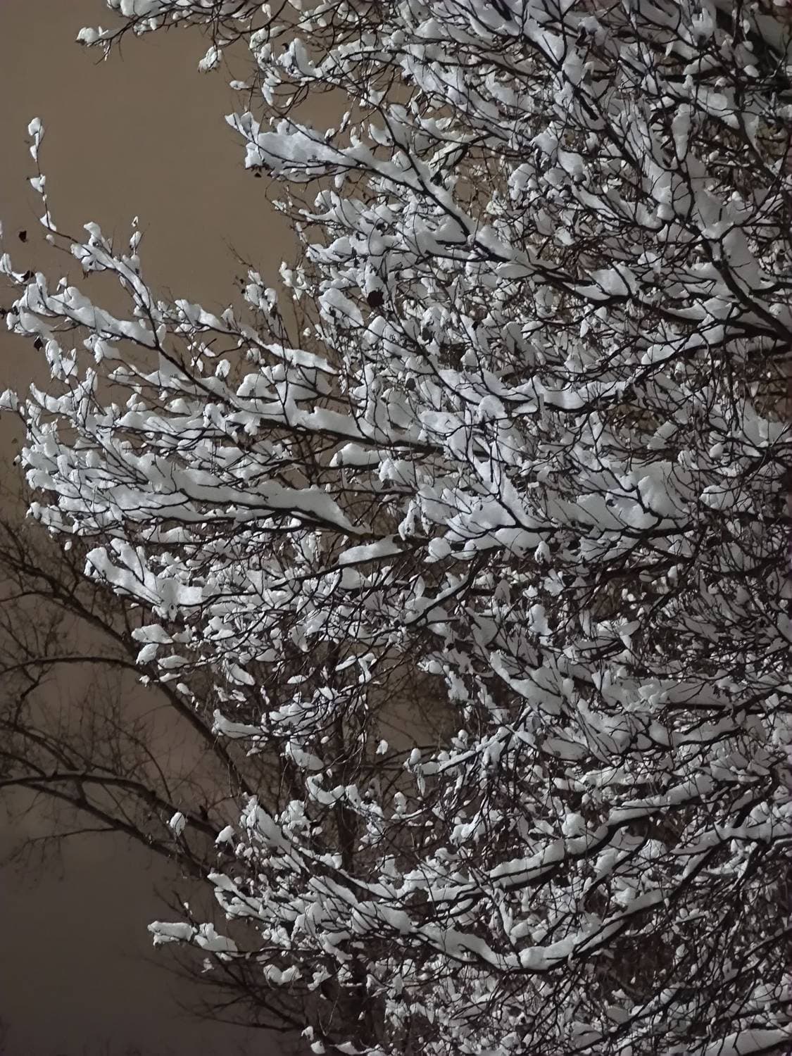 #зима ❄️