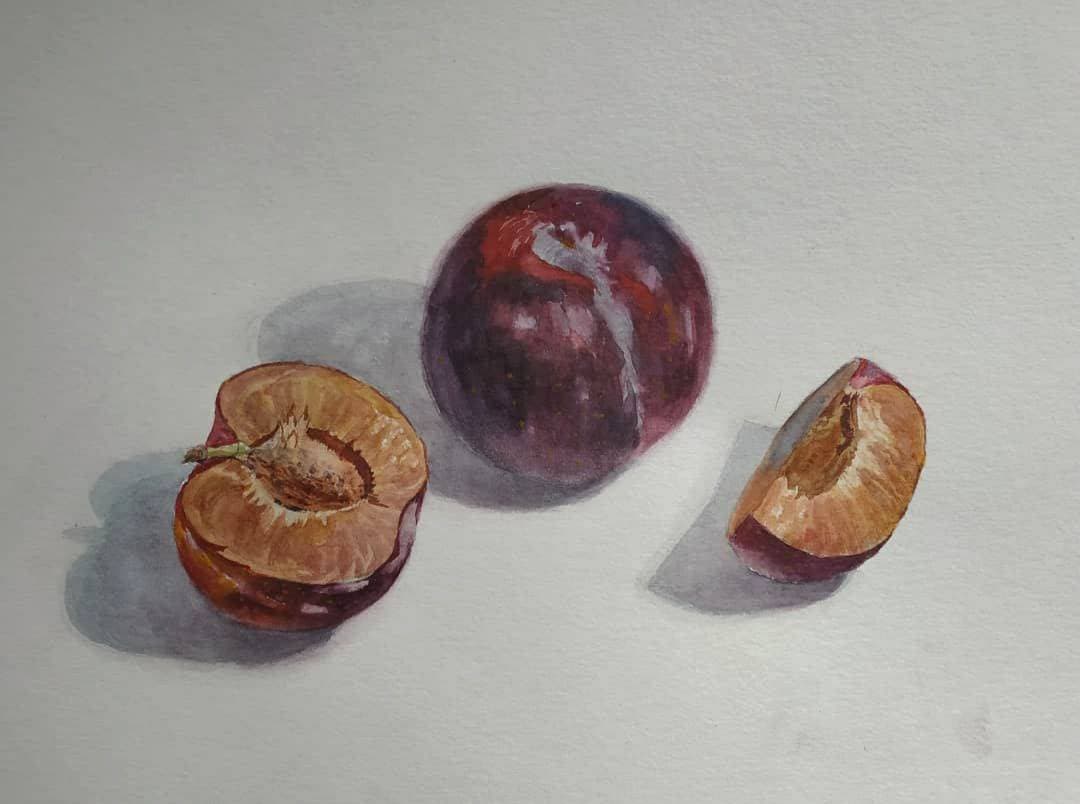 Сливы 20х30 см, #акварель #watercolor

Раньше я записывала видеоуроки по рисованию для начинающих. Сейчас у меня не так много времени, поэтому пока про это занятие я позабыла. 
Опыт был интересный! Я научилась таким не очевидным вещам, как говорение на камеру, озвучивание ровным голосом, упрощение сложных формулировок и т.п. Эти навыки усовершенствовали меня как преподавателя.
 Ролики получались "сбитыми на коленке", "кустарными"😅 Пересматривая через  время, я испытывала чувство жгучего стыда и удаляла 🙈😁Но это был мой первый опыт, поэтому многие ролики я все таки оставила в свободном доступе. Пусть со съёмкой, монтажом, звуком и всем прочим сплошная беда, зато хорошие советы по рисованию в них есть!

Один из моих уроков - это рисунок слив акварелью. 
Его можно найти на YouTube или Дзене на канале Мария Головач

#watercolourpainting #watercolorstilllife #watercolorart #watercolorforbeginners #artdraw #artoftheday #watercolorpractice #watercolor_painting #drawingartist #drawing✏ #рисование #рисунокакварелью