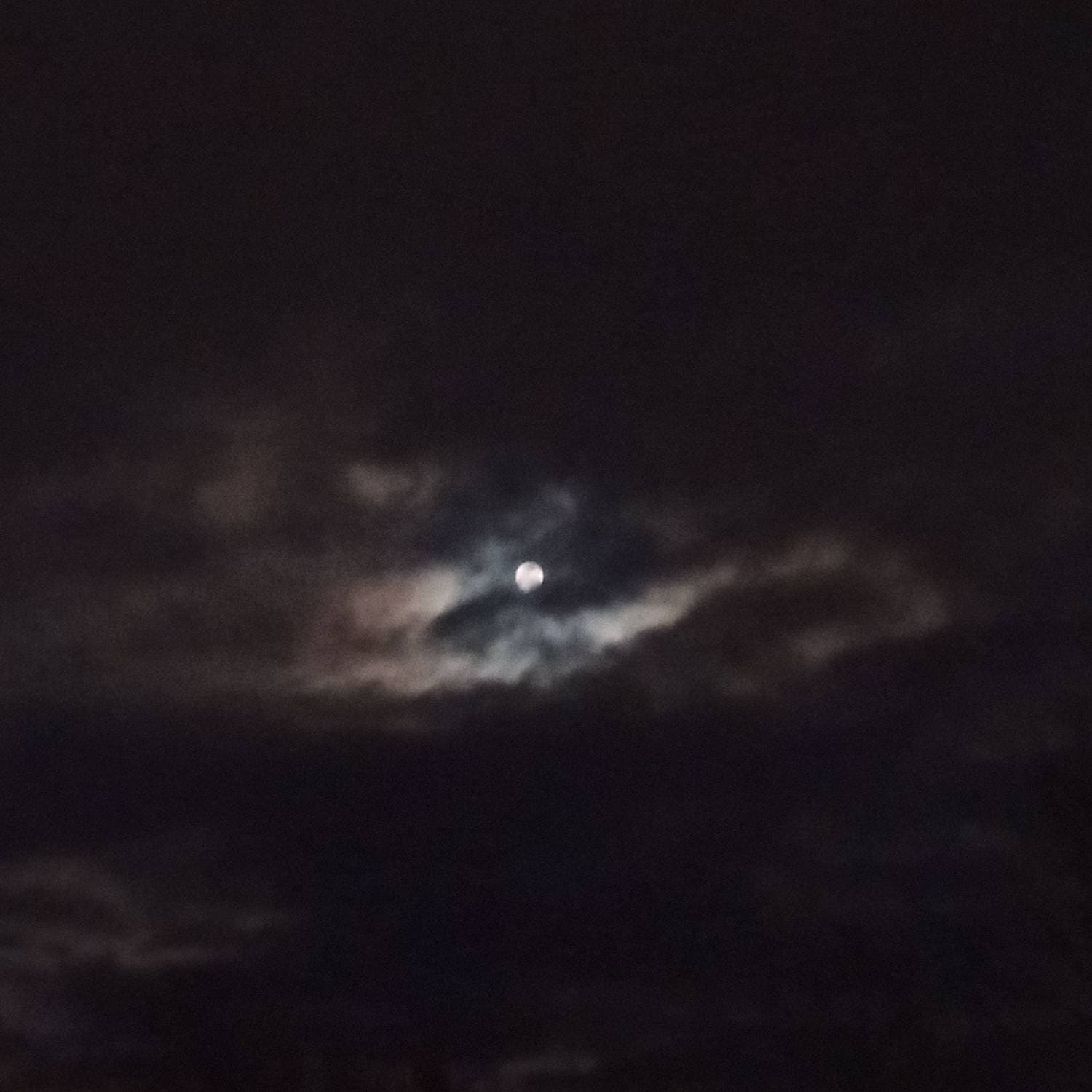 🌕🌝