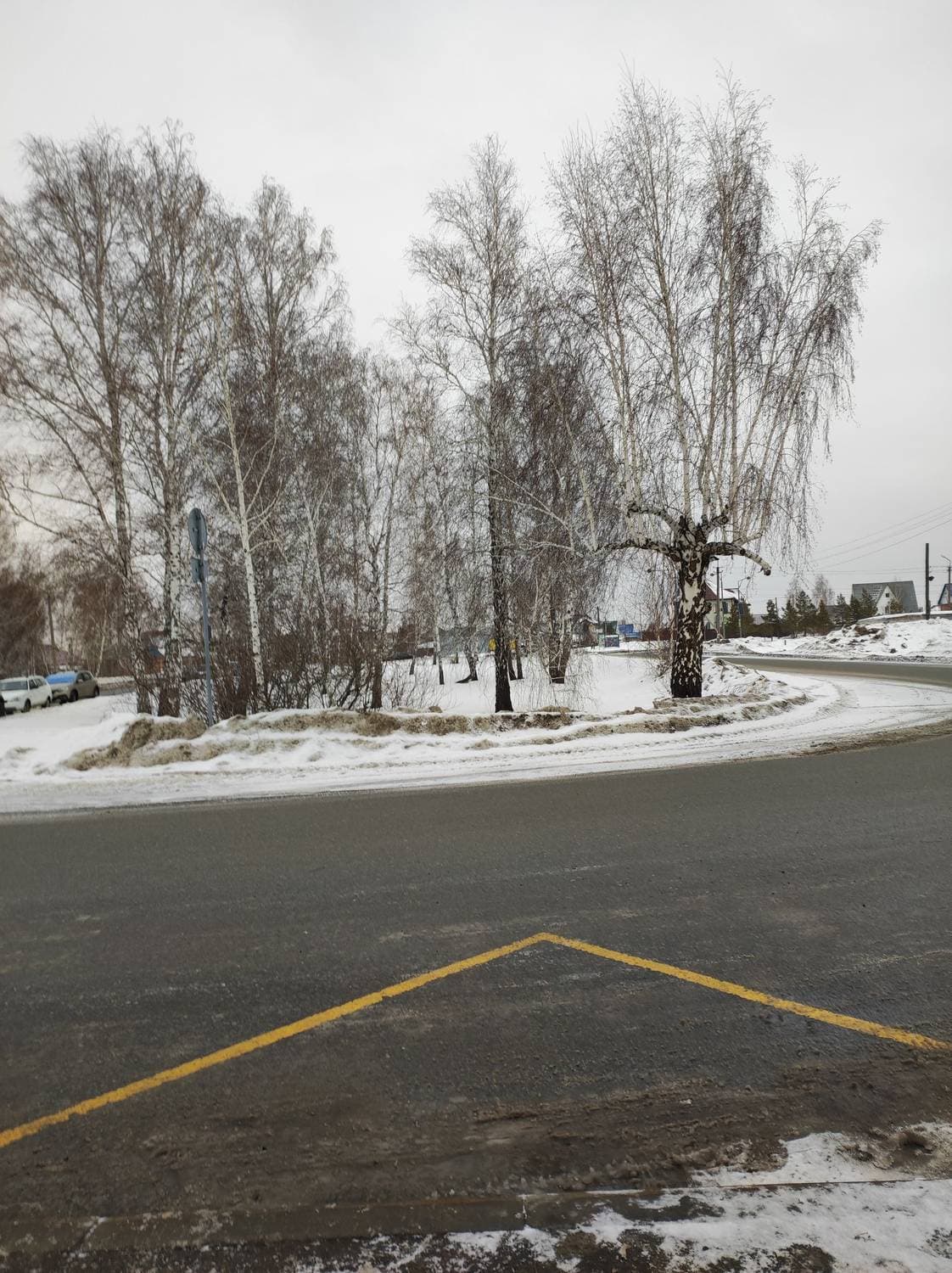 последние дачные снимки