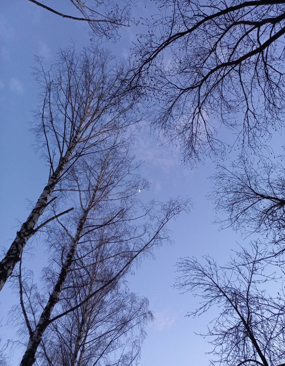 вечером
