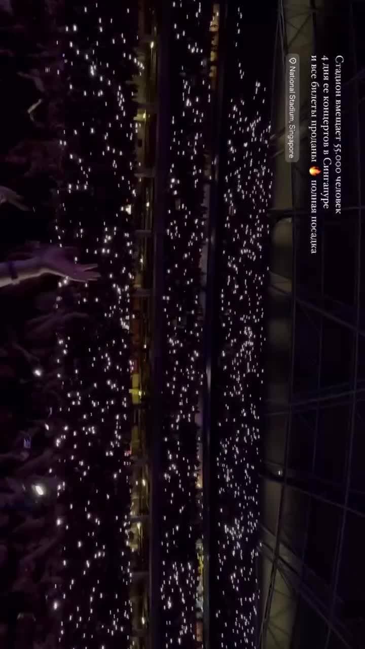 🇸🇬