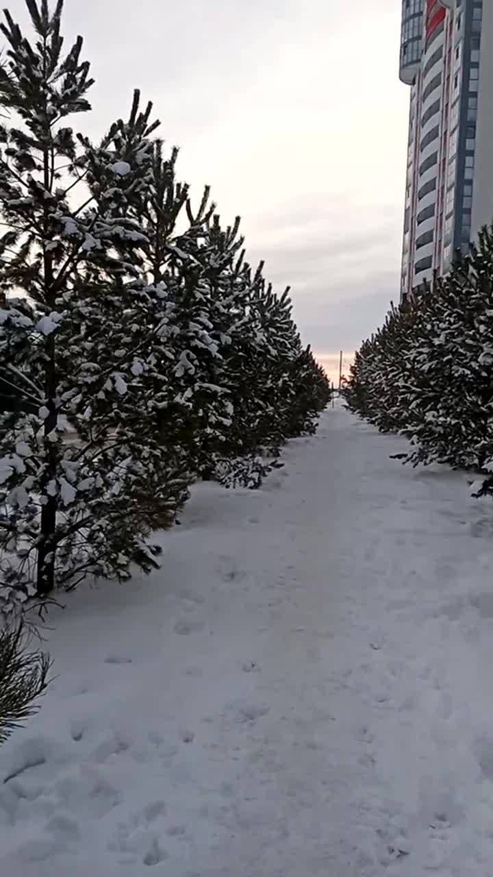 Снежно,но тепло...            #видео #снег