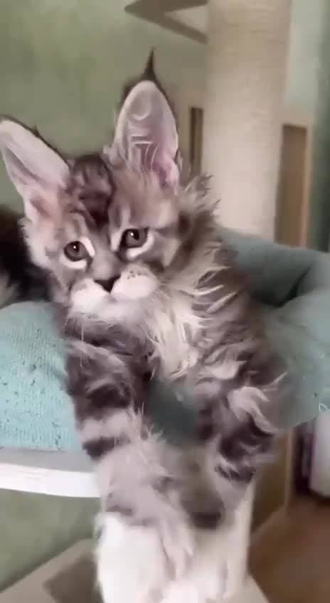 милый ❤️