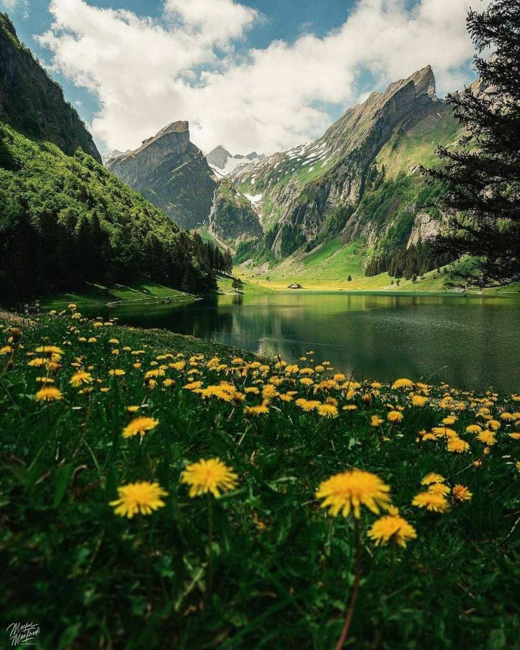красота ❤️