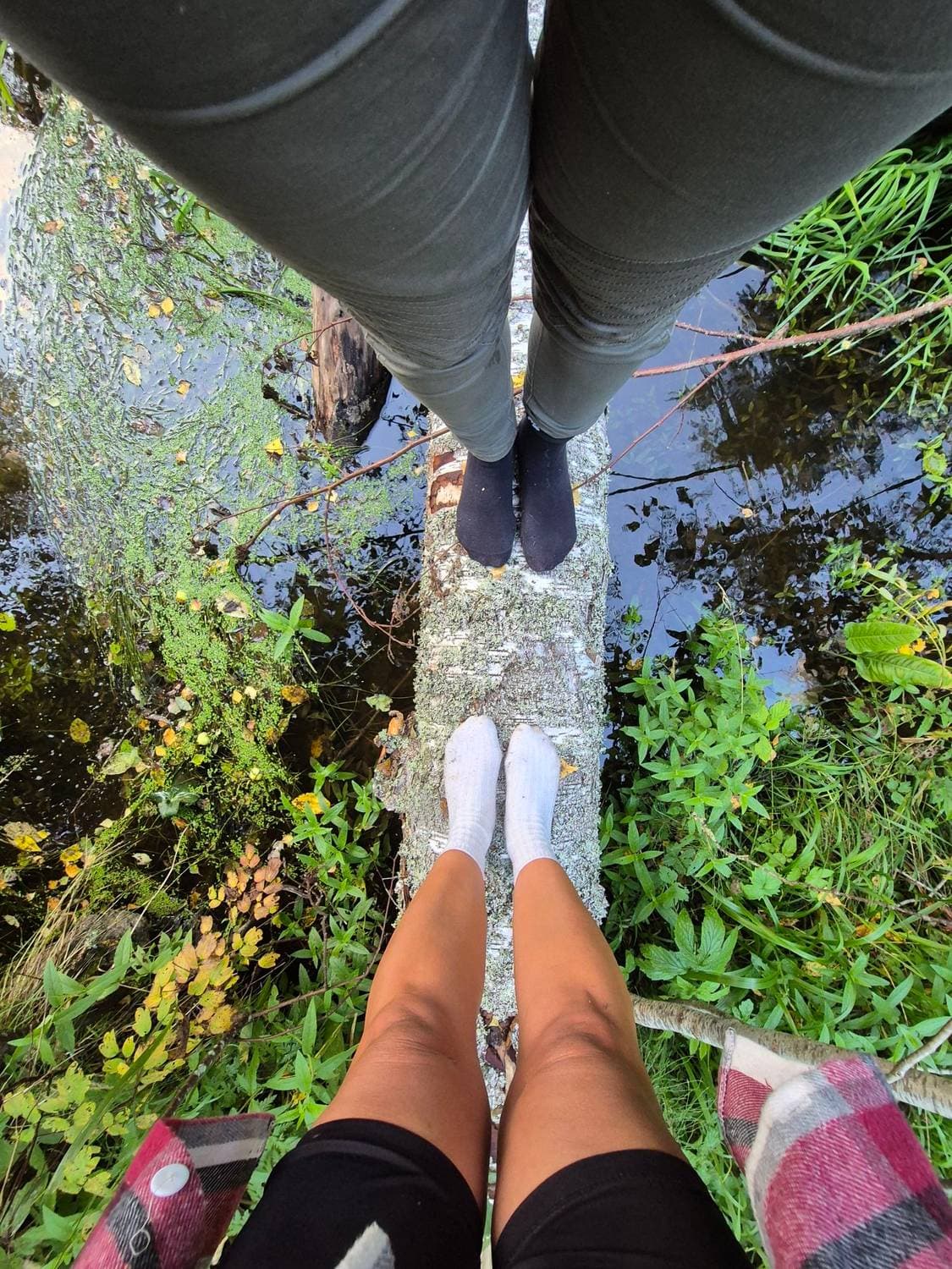 🌿