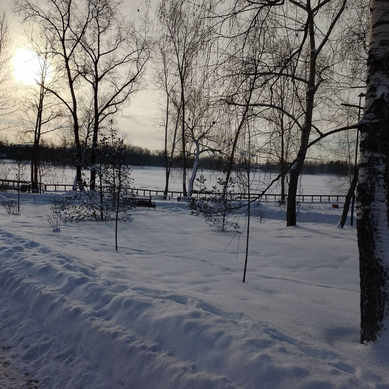 прогулка в парке 🥶