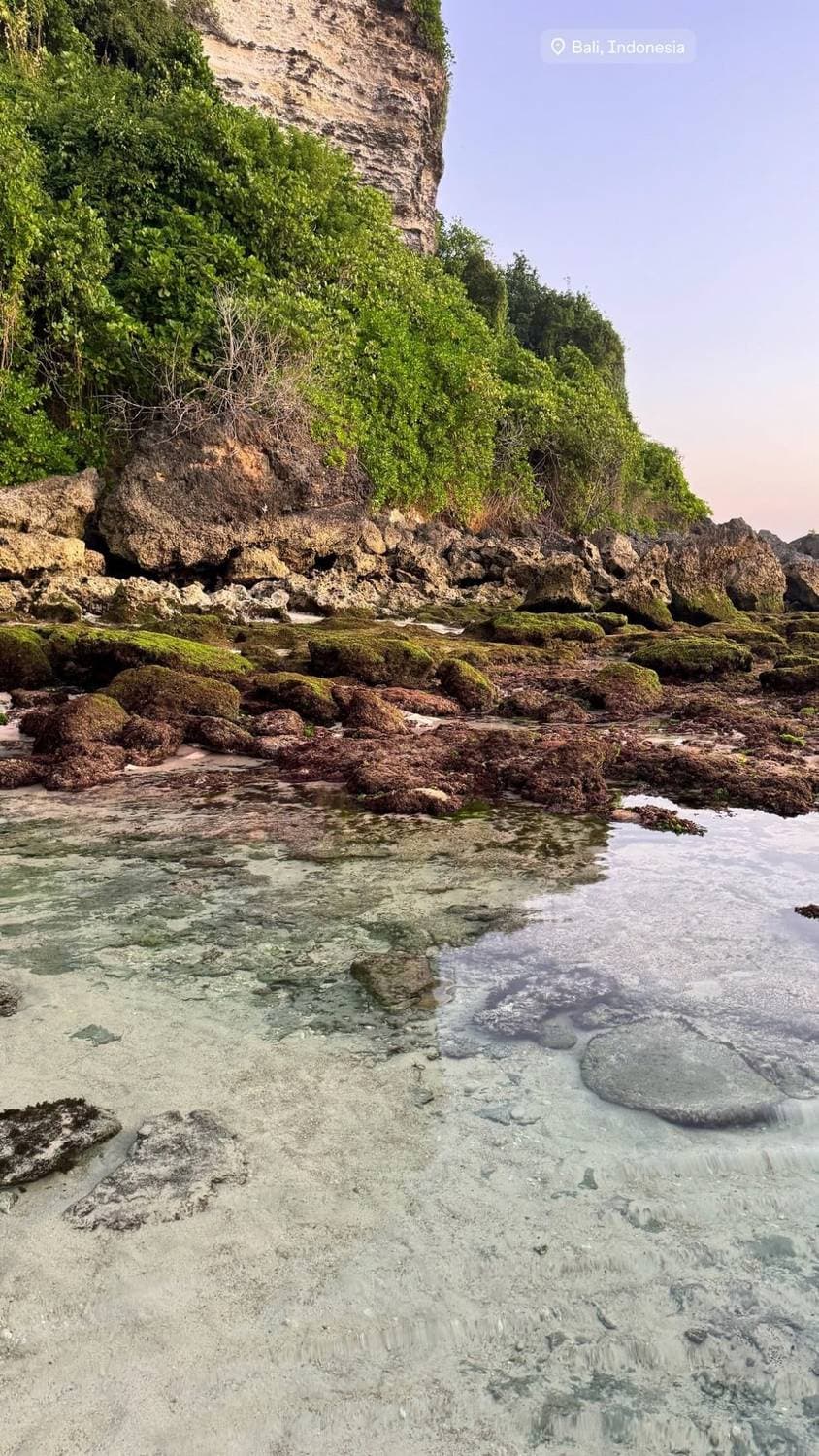 🇮🇩