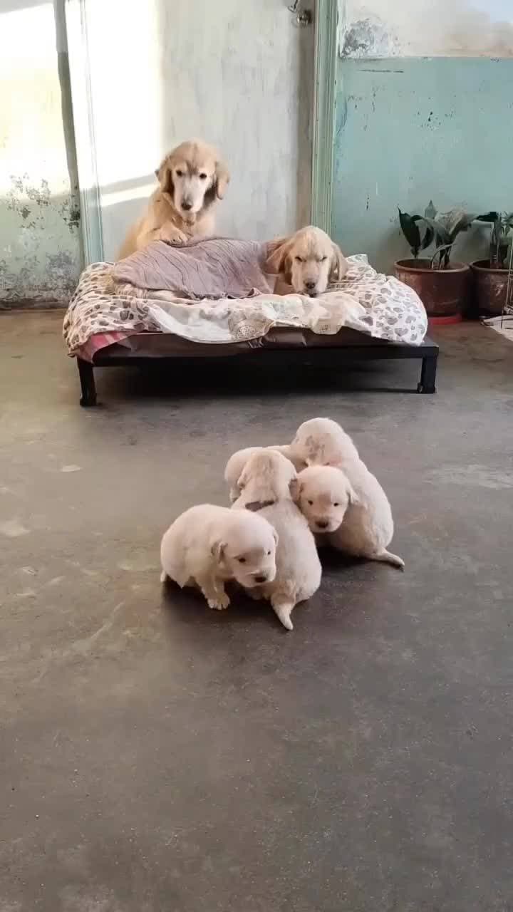 милашки ❤️