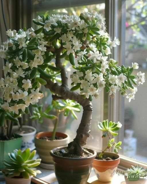 💐