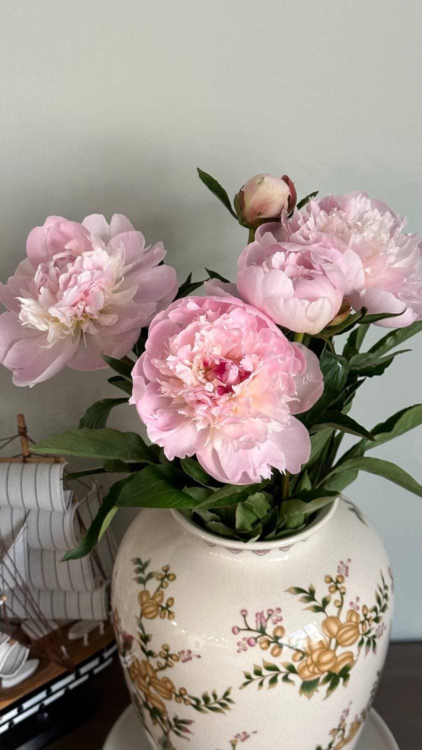 🌸