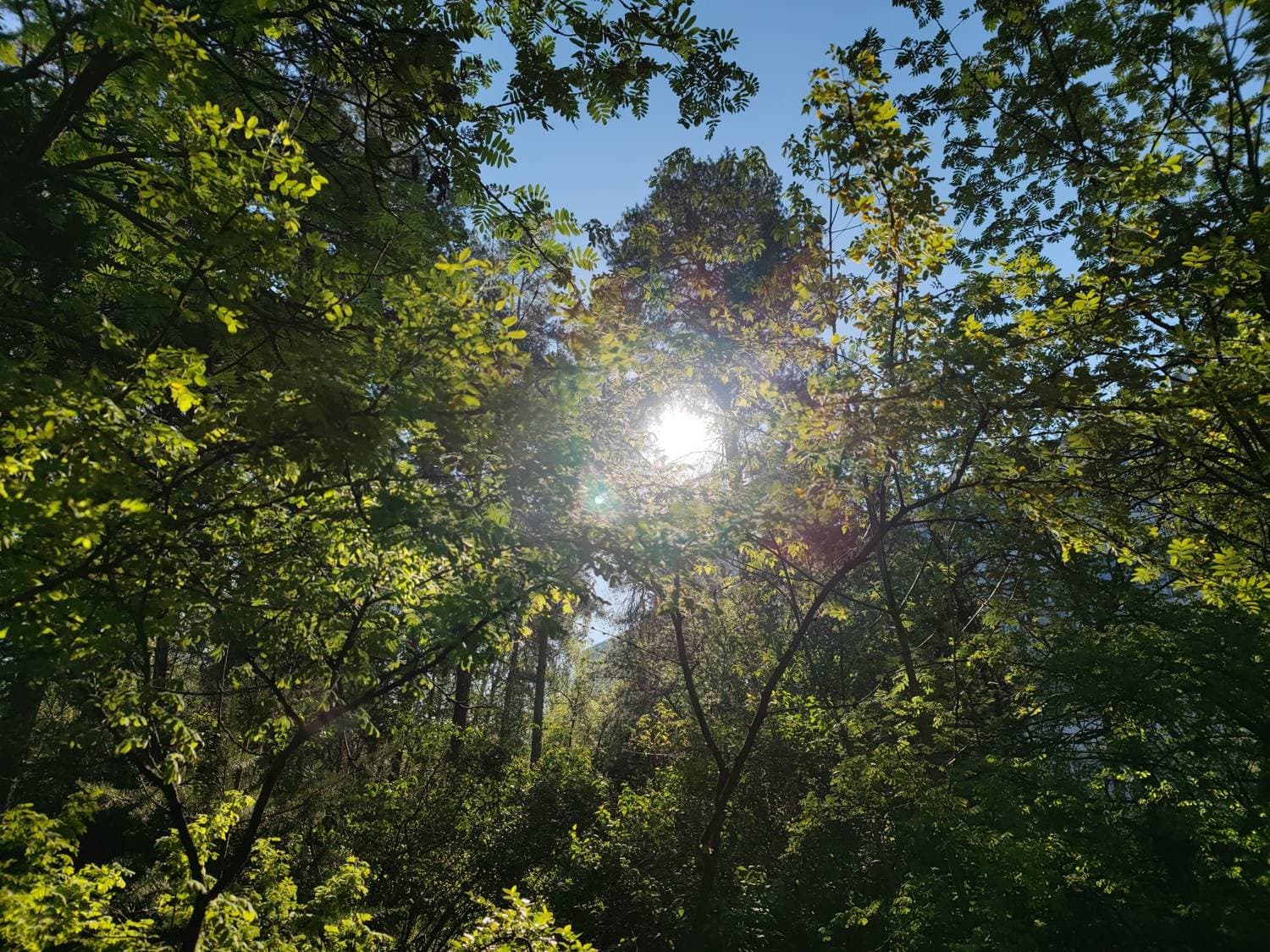 ☀️солнышка всем 😊тепла 🤗