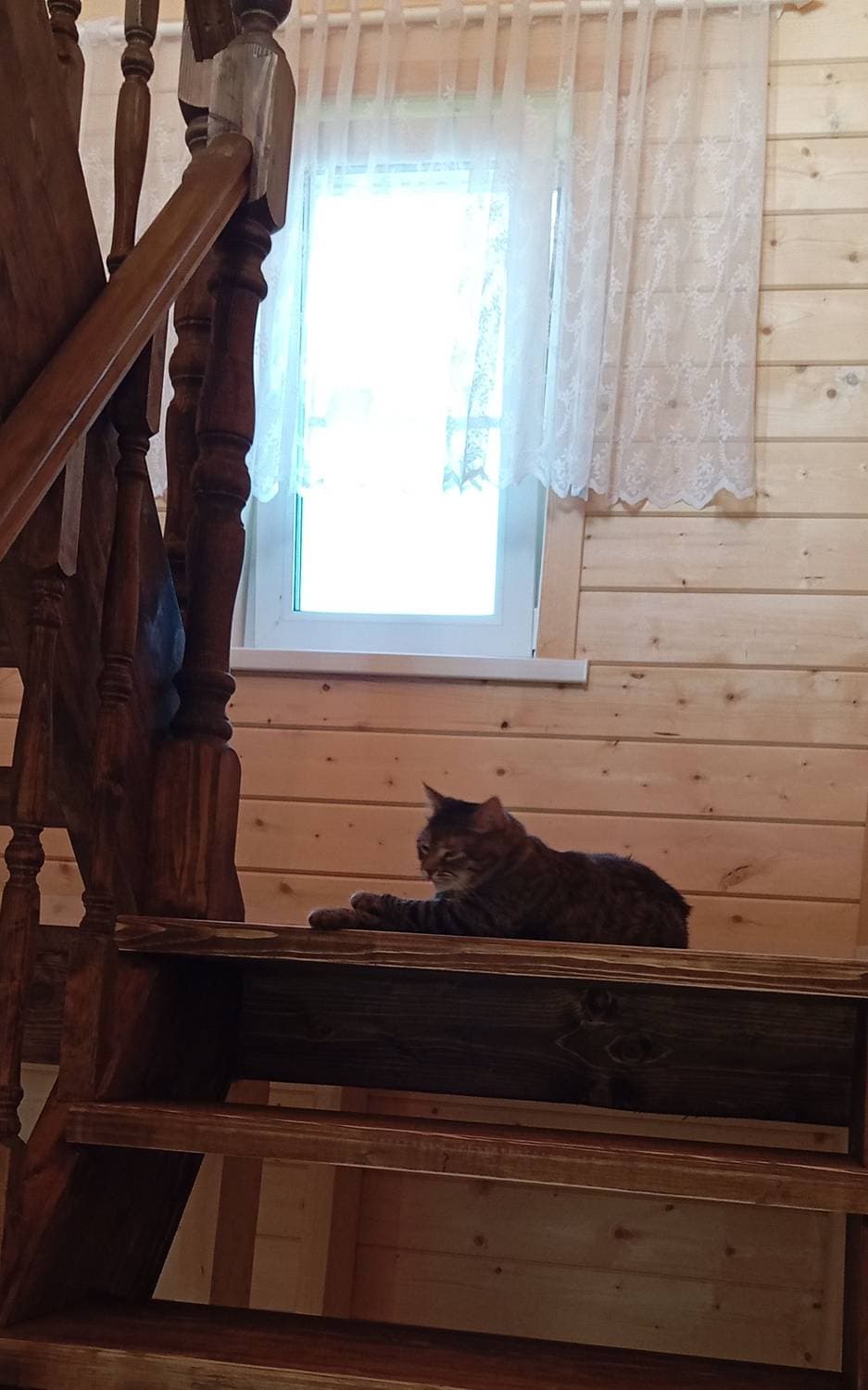 Коша-Мура 💕😍