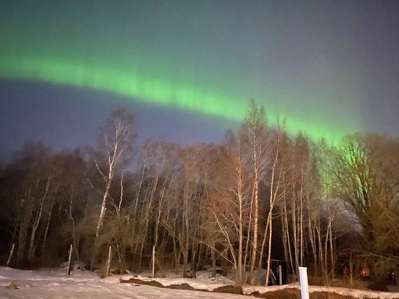 Северное сияние на севере СПб #красота 🤗