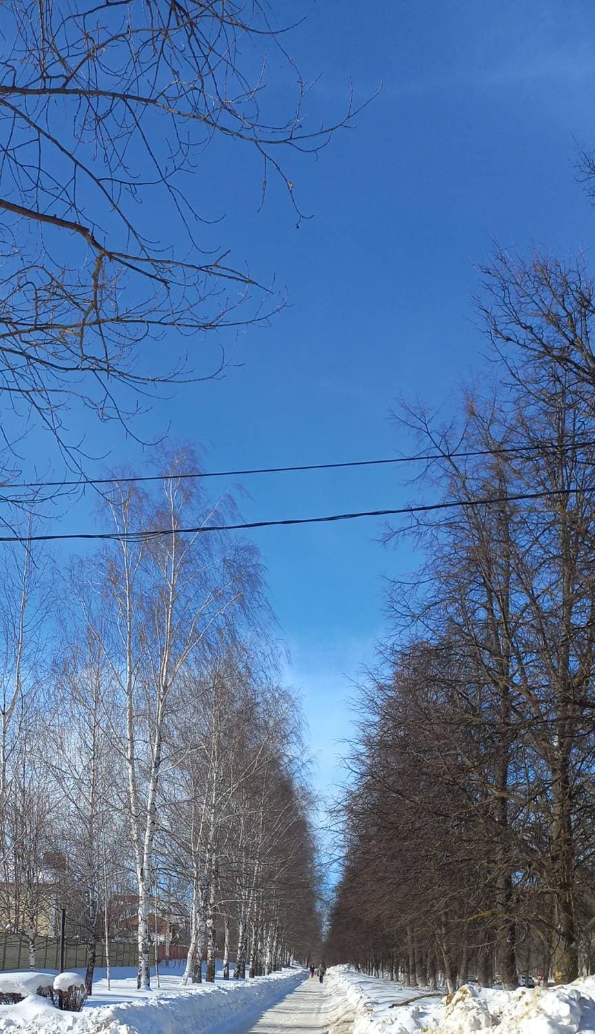 ясный день