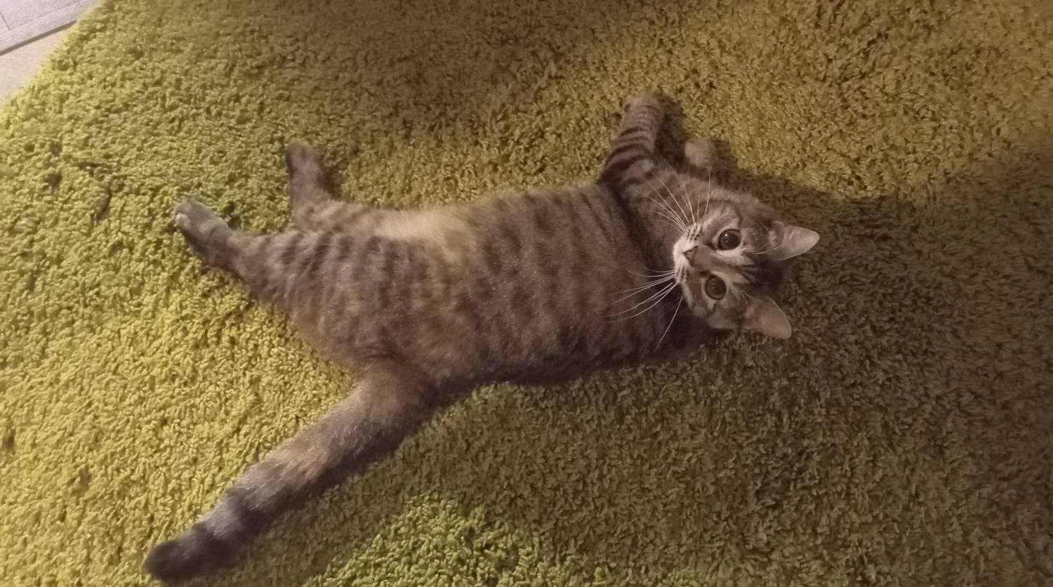 наша девочка 😍