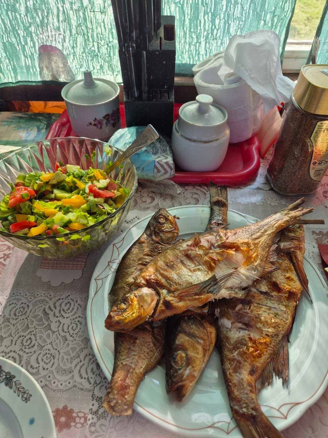 У дачная жизнь) 🐟