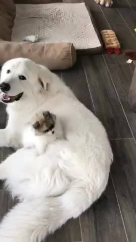 милая семья ❤️