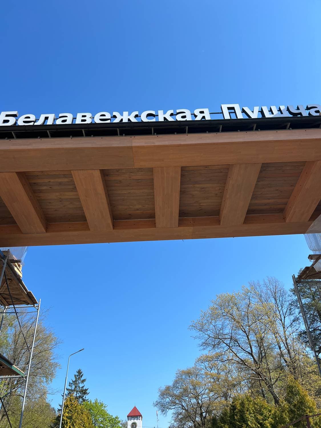 📍Беловежская пуща