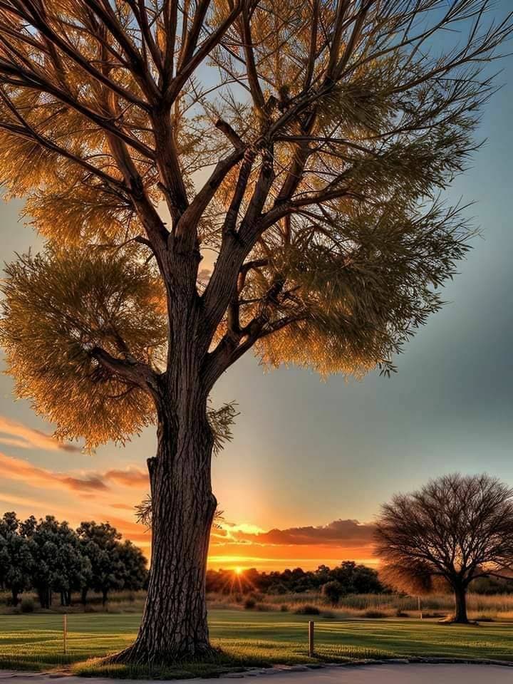 😍