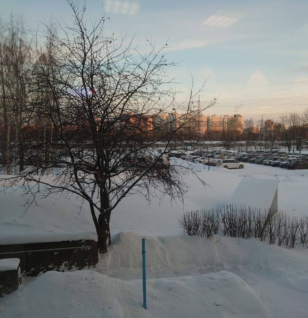 Доброго утра из снежного плена 🙃🌨️