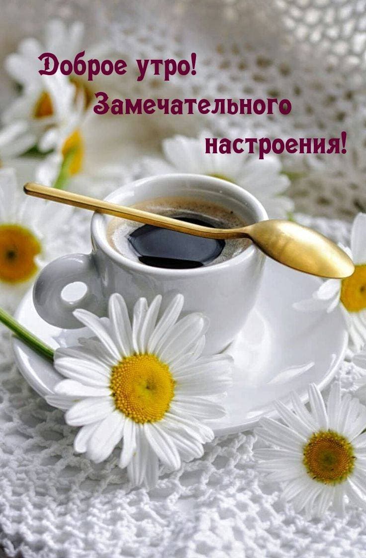 🍵🍵🍵