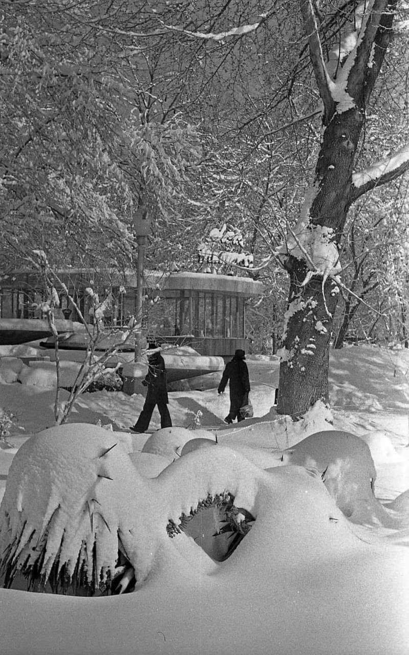 Зима в Ташкенте 70-80 г.г,а сейчас у нас +15 градусов.😅