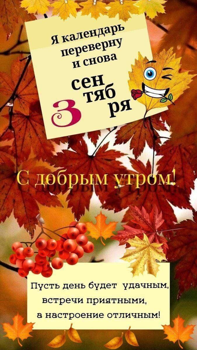🍁🍂🍁 ОСЕНЬ- ПРЕКРАСНАЯ ПОРА! 🍁🍂🍁