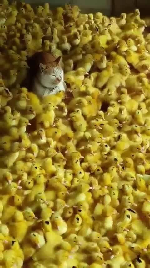 мамочка 😅