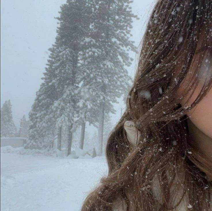 ❄️❄️❄️