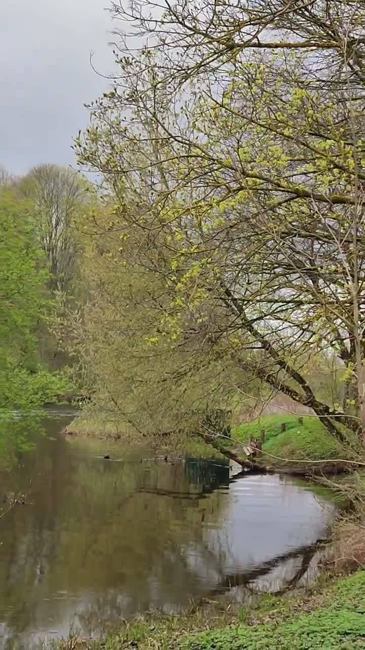 🍀🌱🌸