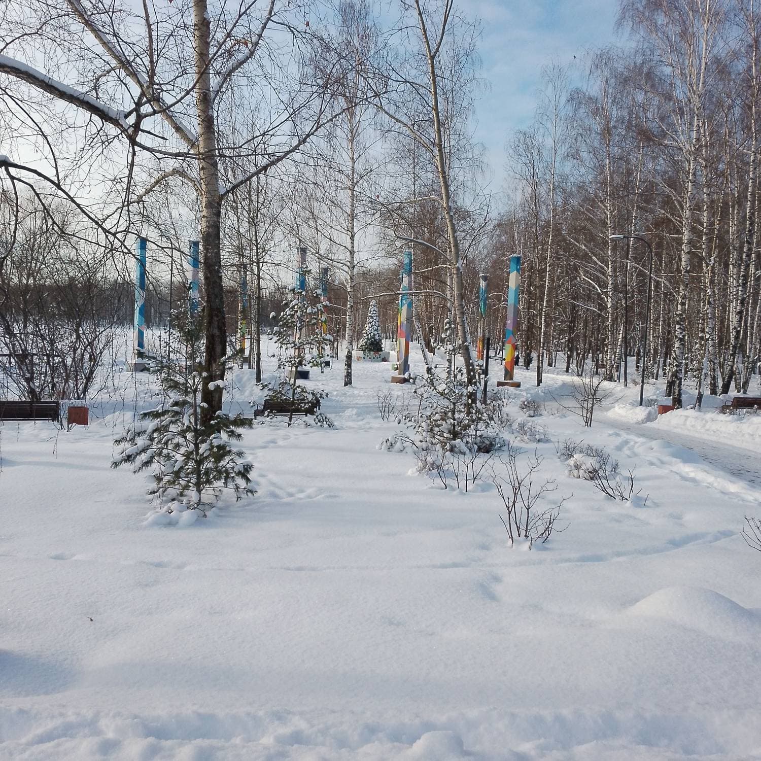 прогулка в парке 🥶
