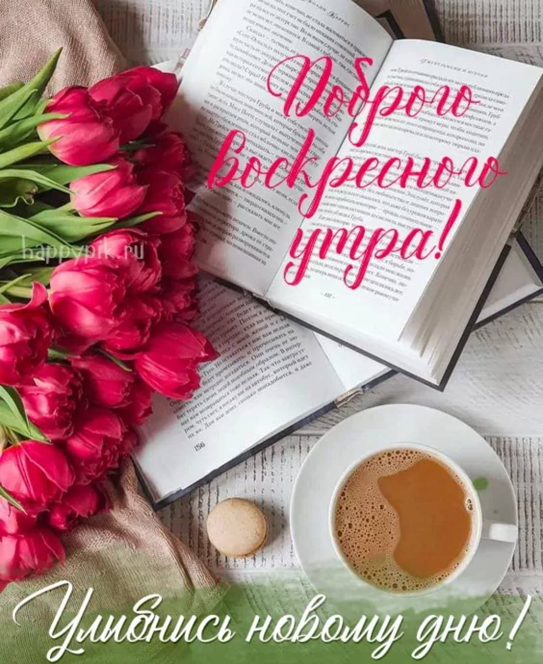 Хорошего воскресного отдыха!
