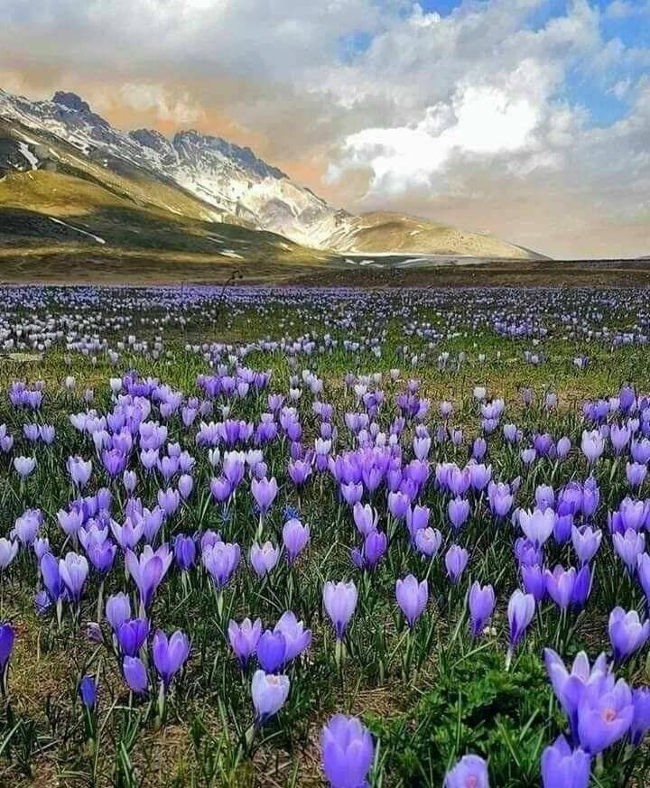 💐